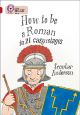 HOW TO BE ROMAN_BIG CAT