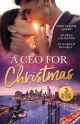CEO FOR CHRISTMAS EB