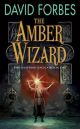 Amber Wizard