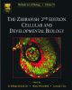 Zebrafish: Cellular and Developmental Biology