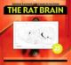 Rat Brain in Stereotaxic Coordinates