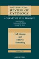 Cell Lineage and Embryo Patterning