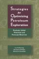 Strategies for Optimizing Petroleum Exploration: