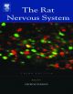 Rat Nervous System