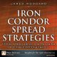 Iron Condor Spread Strategies