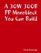 30W 300B PP Monoblock You Can Build