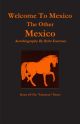 Welcome to Mexico : The Other Mexico:  Home Of The &quote;Infamous&quote; Pintos