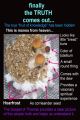 Finally the Truth Comes Out...: The True &quote;Fruit of Knowledge&quote; Has Been Hidden!: This Is Manna from Heaven...