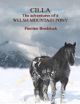 Cilla: The Adventures of a Welsh Mountain Pony