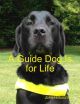 A Guide Dog is for Life