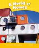 Level 6: A World of Homes AmE ePub with Integrated Audio