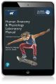 Human Anatomy & Physiology Laboratory Manual, Cat Version, Global Edition